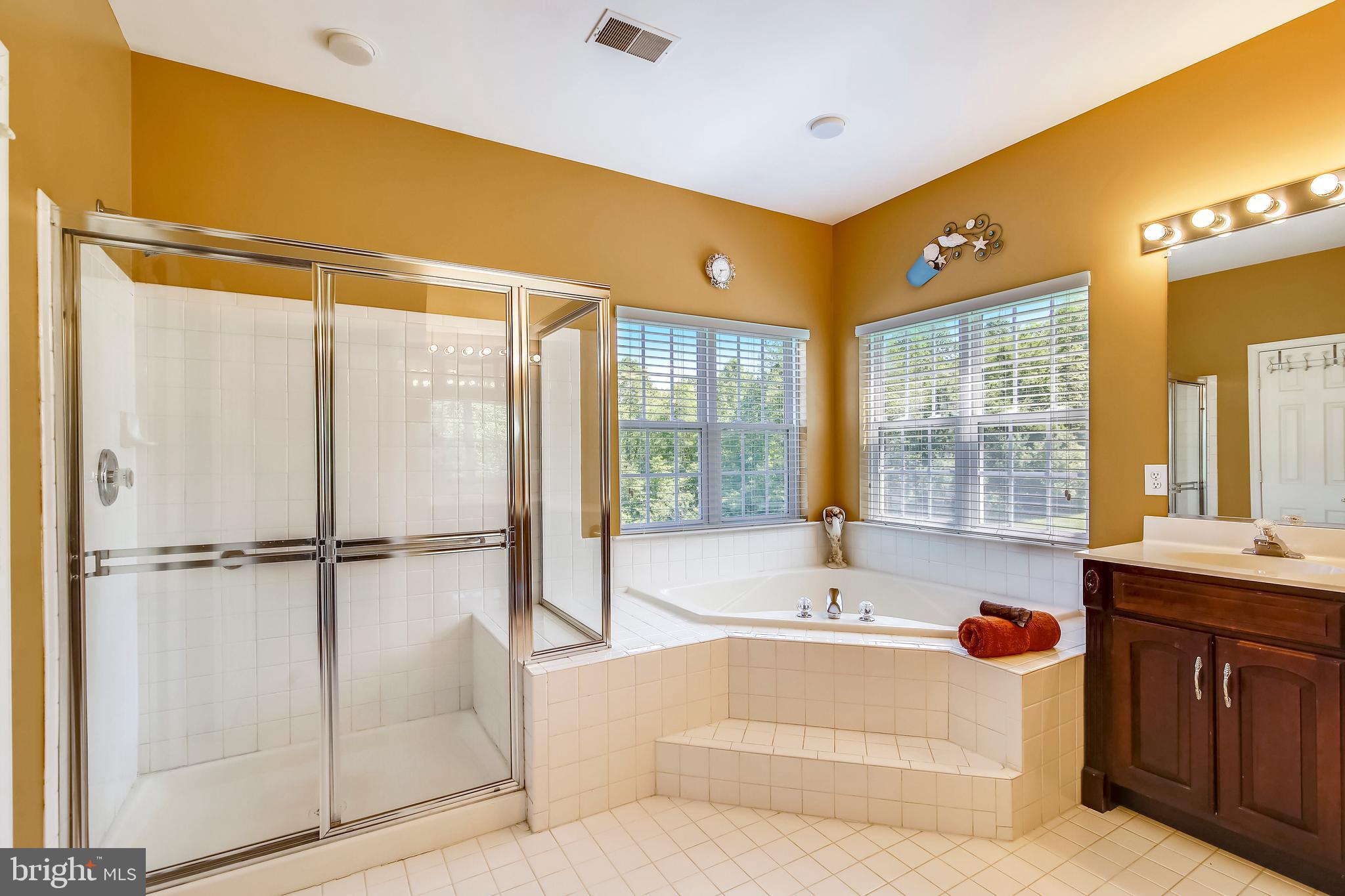 10819 Avonlea Ridge Place Damascus, MD 20872 - Photo 44 of 65 Separate Glass Shower and Spa Bathtub!