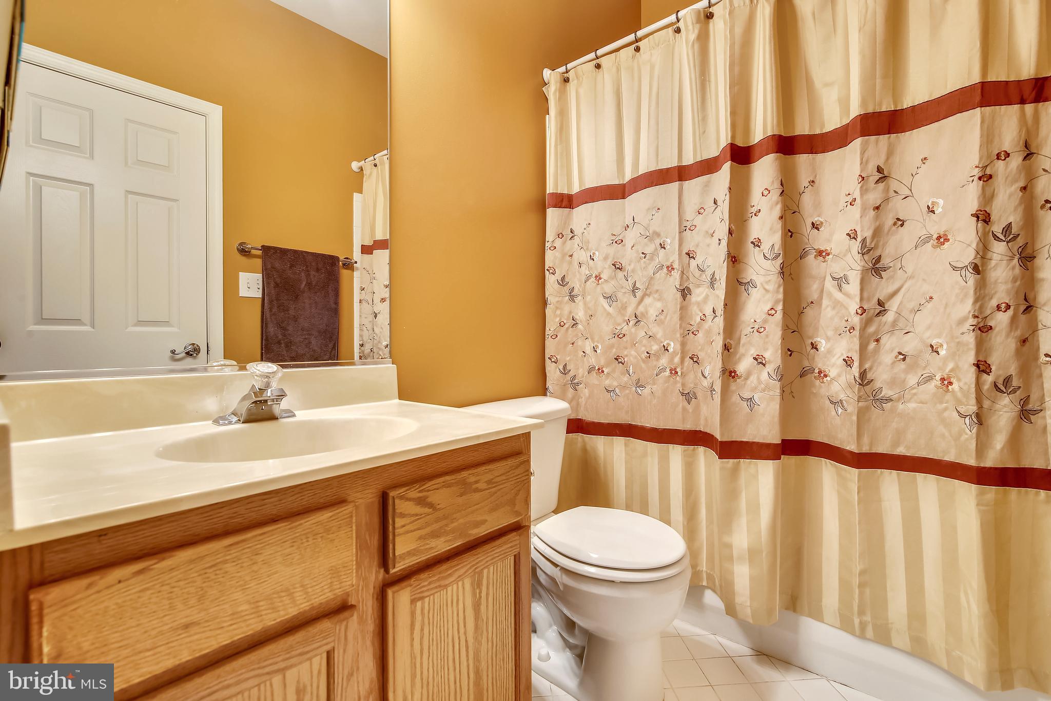 10819 Avonlea Ridge Place Damascus, MD 20872 - Photo 50 of 65 Second Level Bathroom