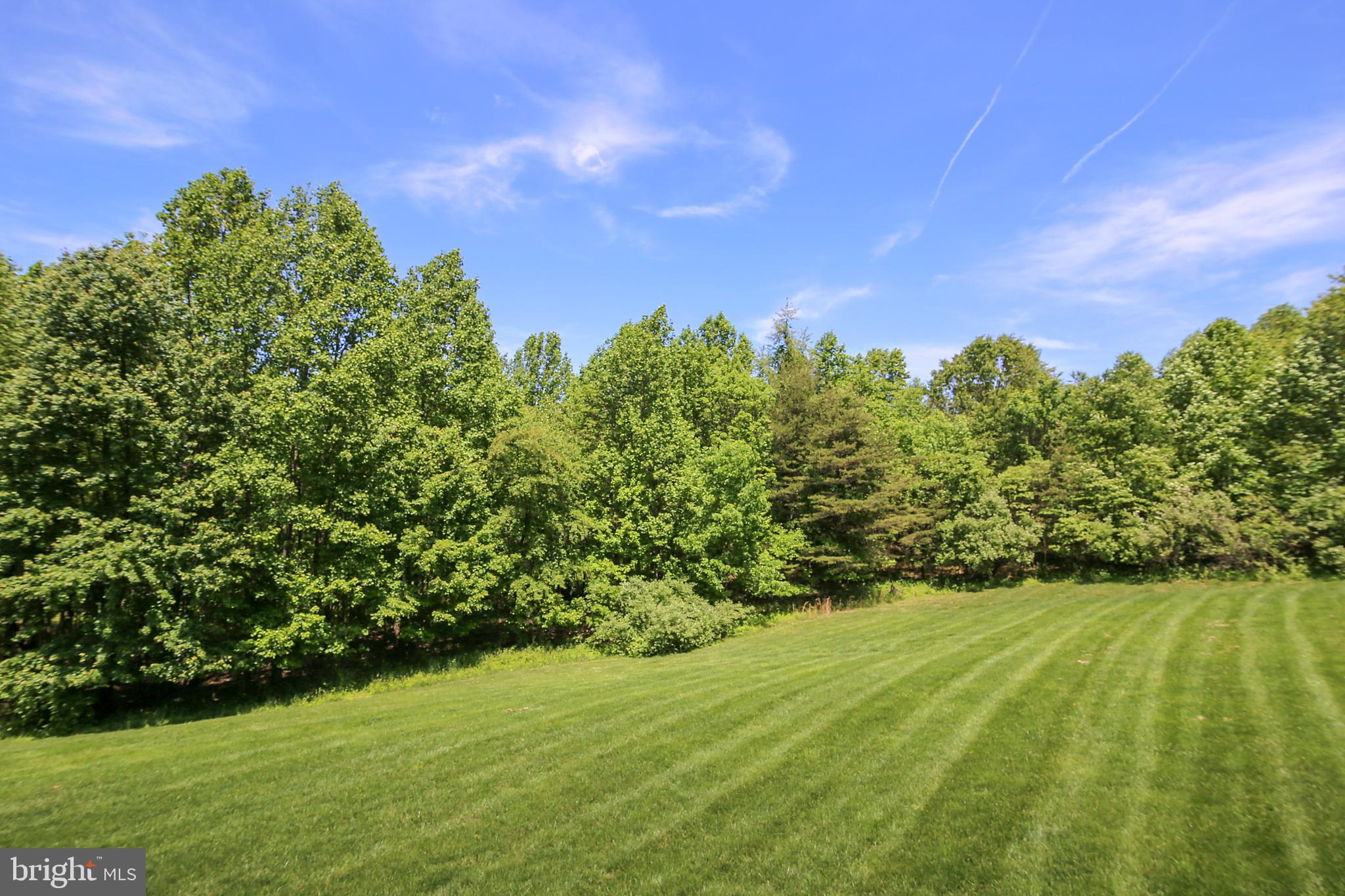 10819 Avonlea Ridge Place Damascus, MD 20872 - Photo 53 of 65 Infinite Possibilities with 2 Level Acres of Land!