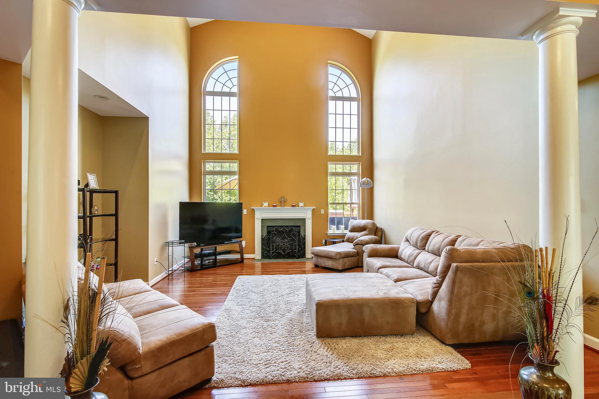 10819 Avonlea Ridge Place Damascus, MD 20872 - Photo 7 of 65 Sunken 17x17 Great Room Boasts of Natural Light!