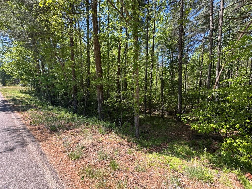 1460 Byrd Ridge Road North Wilkesboro, NC 28659 - Photo 26 of 26