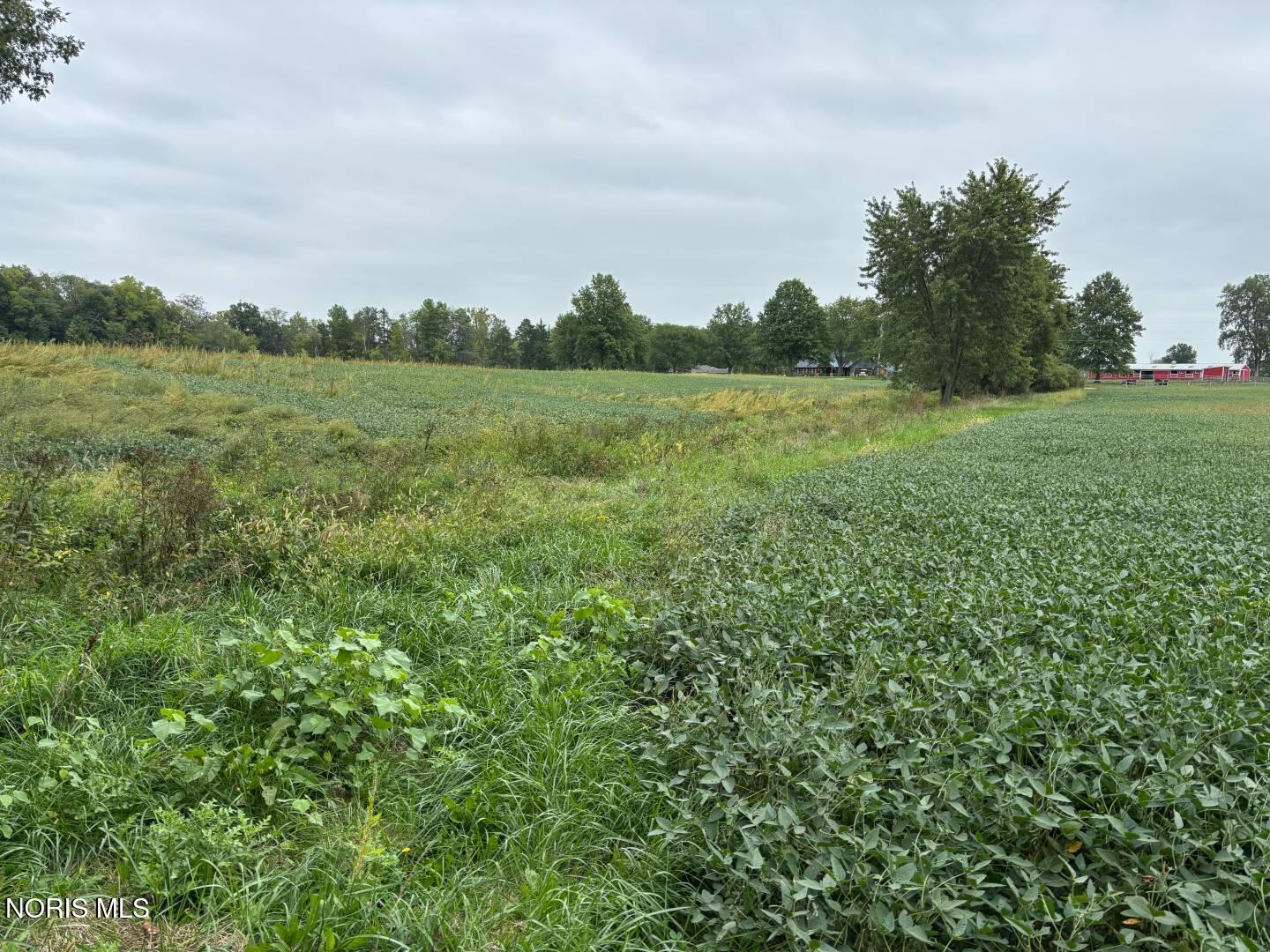 Evansport Road Defiance, OH 43512 - Photo 12 of 28 Gallery Image 12