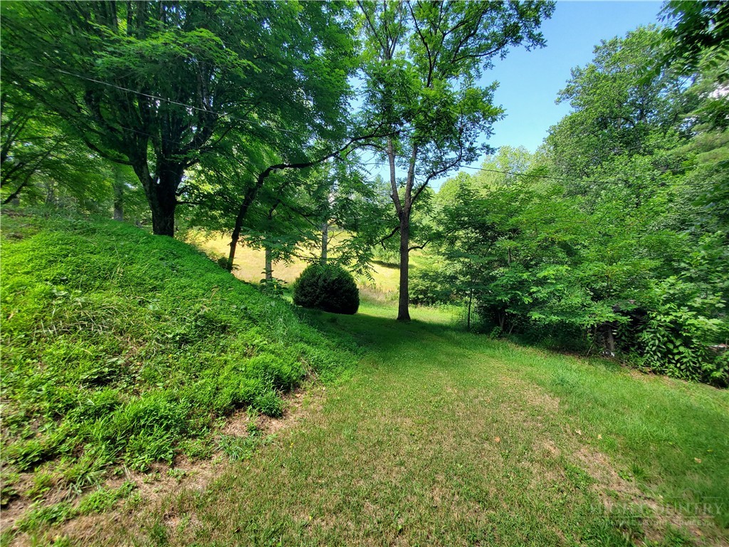 886 Hanging Rock Road Spruce Pine, NC 28777 - Photo 44 of 50