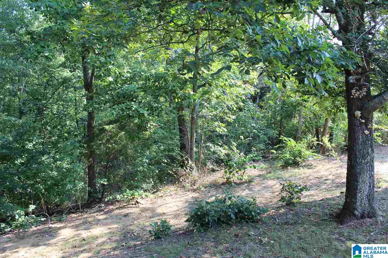 444 Highway 27 Oneonta, AL 35121 - Photo 34 of 39