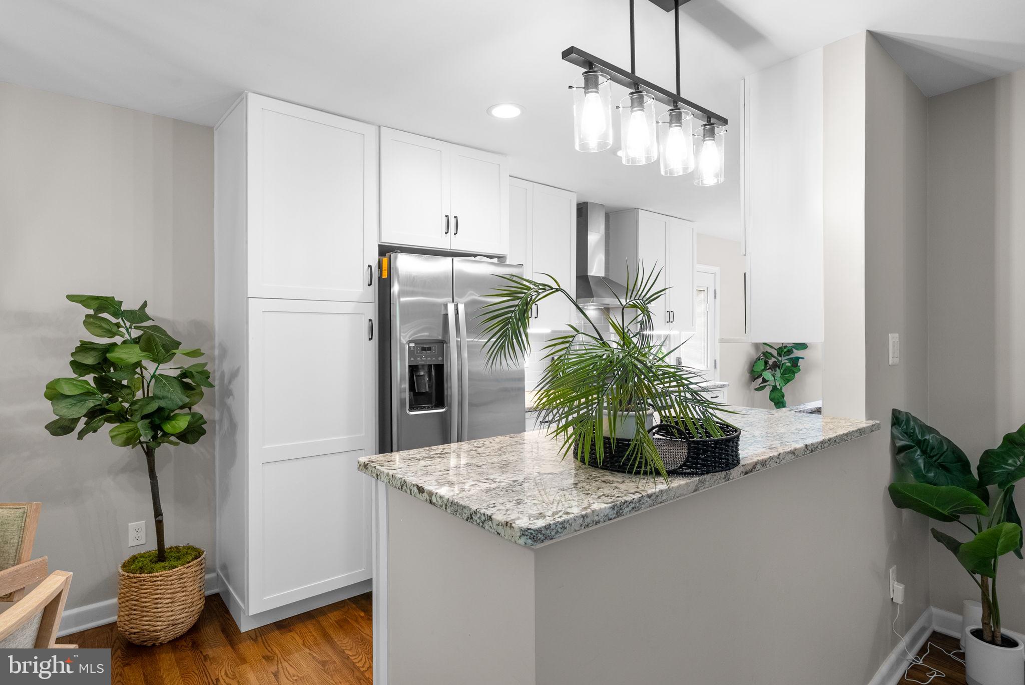 9907 Big Rock Road Silver Spring, MD 20901 - Photo 9 of 45 a kitchen with sink and potted plant