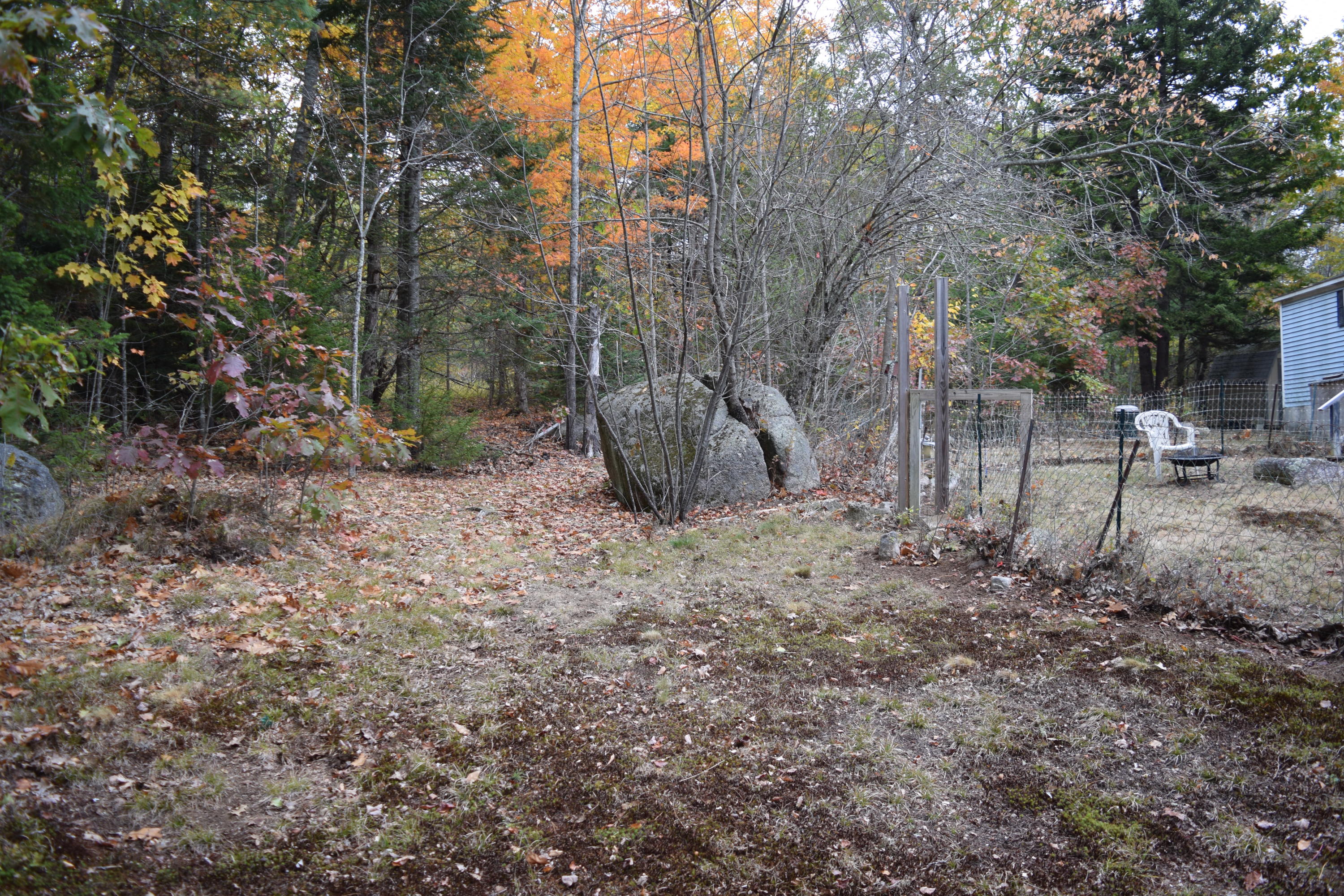 908 Tunk Lake Road Sullivan, ME 04664 - Photo 14 of 16 DSC_0246 (1)