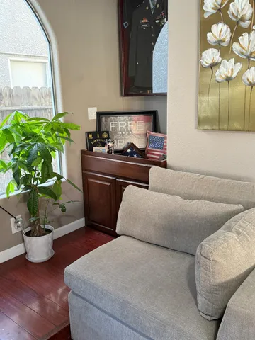 a living room with furniture and a potted plant
