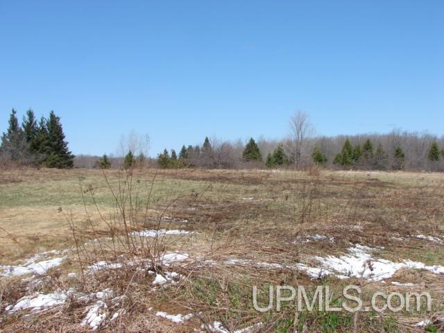 Tbd Section 22 Road Iron River, MI 49935 - Photo 4 of 4