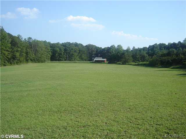 20005 River Road Sutherland, VA 23885 - Photo 9 of 12 Yard/Garden