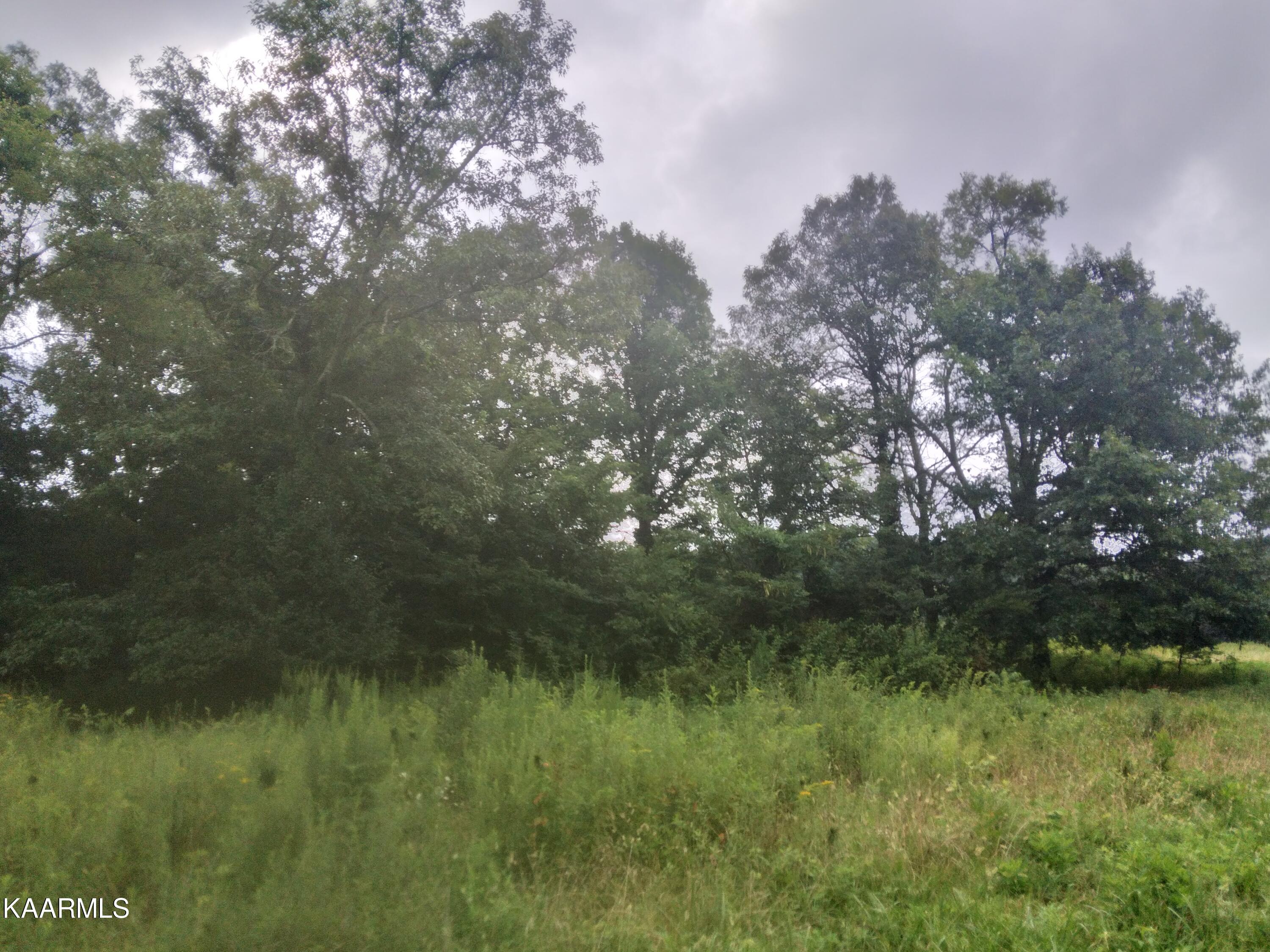 1367-1395 Mt Carmel Road Decatur, TN 37322 - Photo 1 of 11 20220730_101147