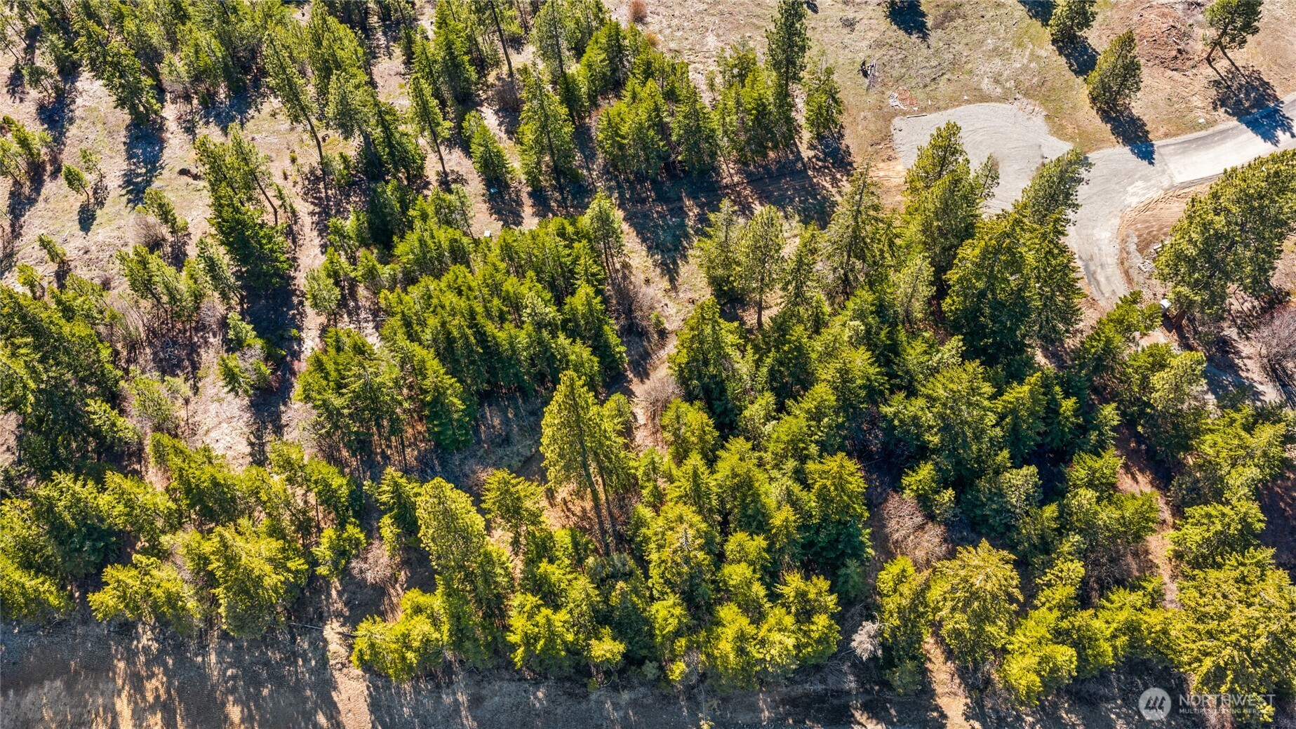 78 Forest Ridge Cle Elum, WA 98922 - Photo 14 of 26