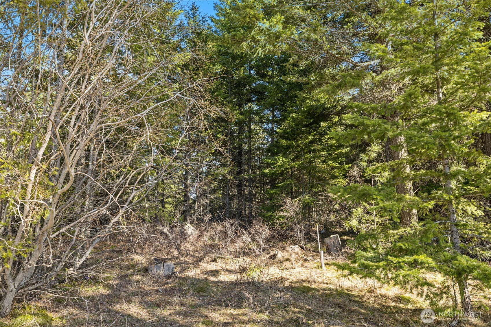 78 Forest Ridge Cle Elum, WA 98922 - Photo 2 of 26