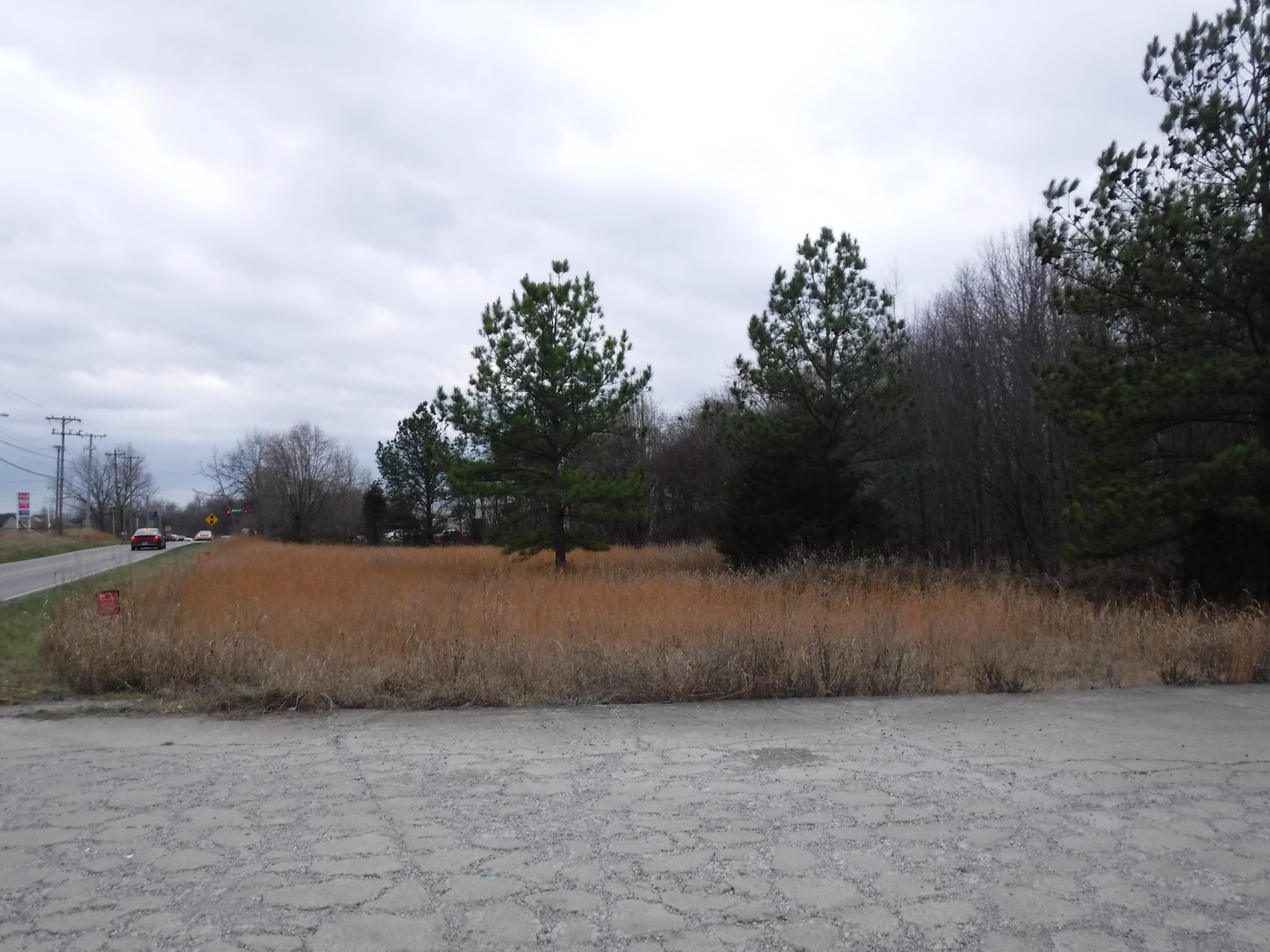 a view of swimming pool and lake view