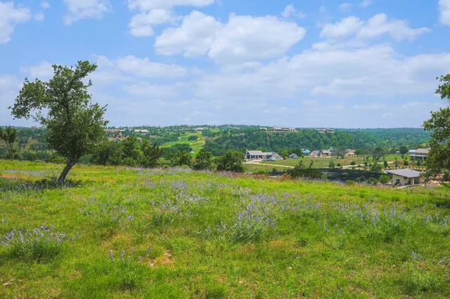 a view of a field with a tree in the background