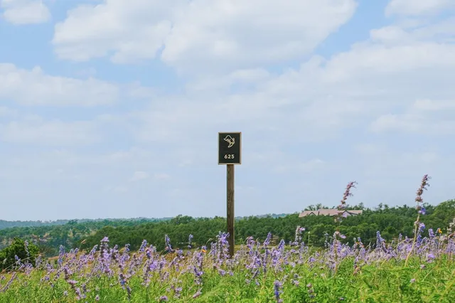 a view of a lake with a yard and large trees
