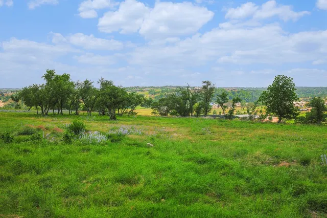 a view of a green field