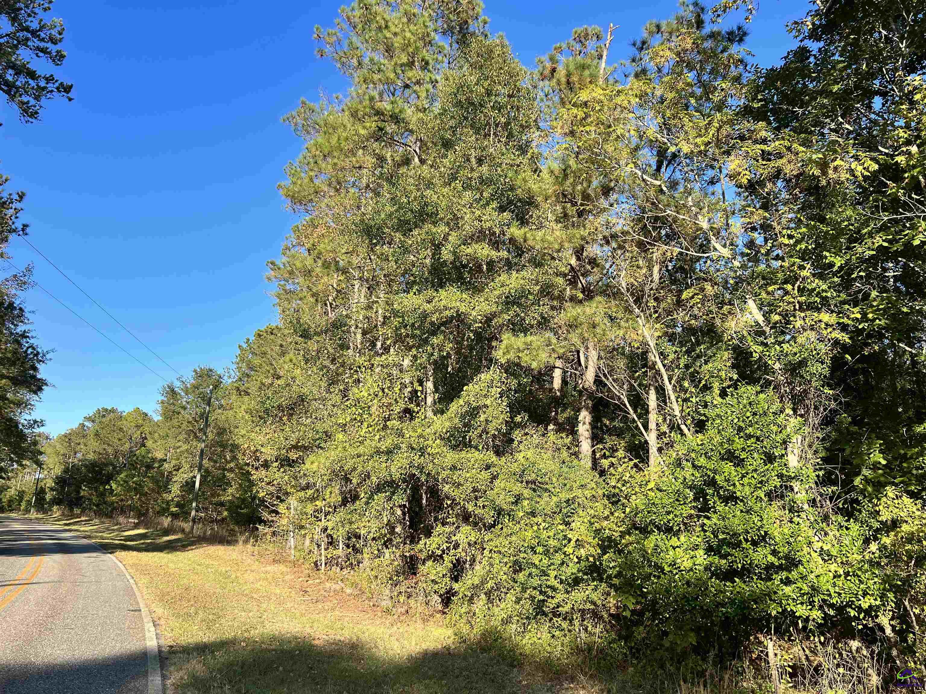 2382 Gallimore Mill Road Danville, GA 31017 - Photo 58 of 80