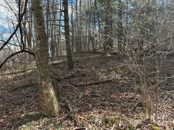 $159,000 | 8951 Highway 25, Marshall, NC 28753