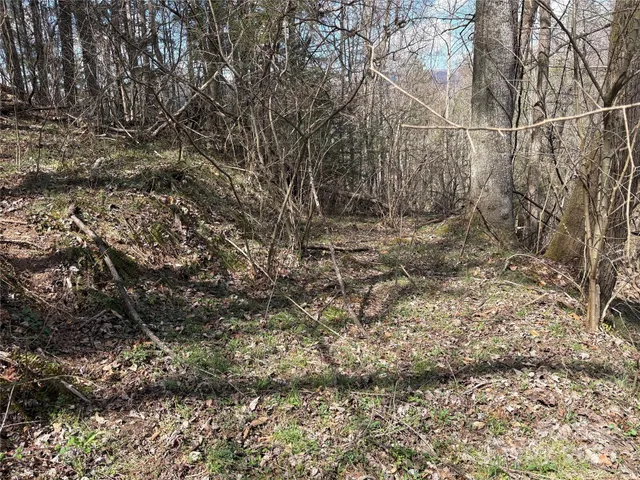 $159,000 | 8951 Highway 25, Marshall, NC 28753