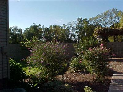 79557 Stapleton Road Decatur, MI 49045 - Photo 5 of 15 Additional Photo