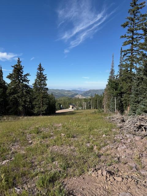 view to ski run Belknap Bow