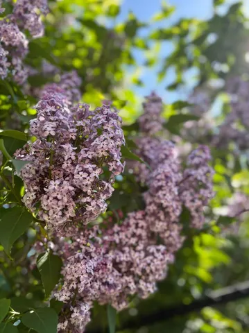 $359,400 | 5541 Eric Street, Allendale, MI 49401