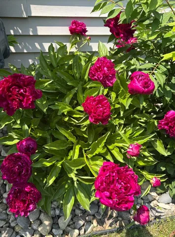 $359,400 | 5541 Eric Street, Allendale, MI 49401