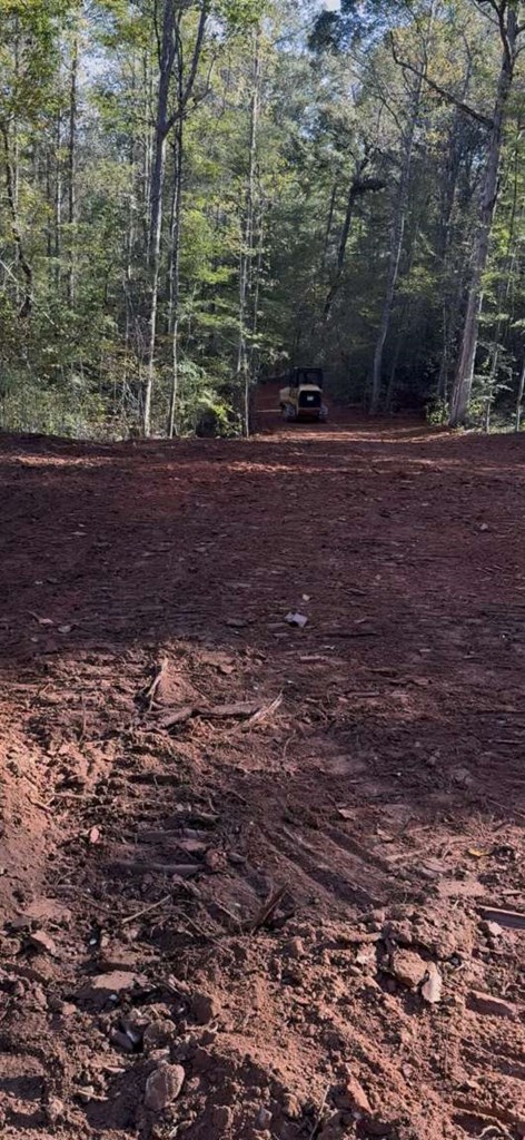 1931 Bethel Church Road Luthersville, GA 30251 - Photo 3 of 3 a view of a yard