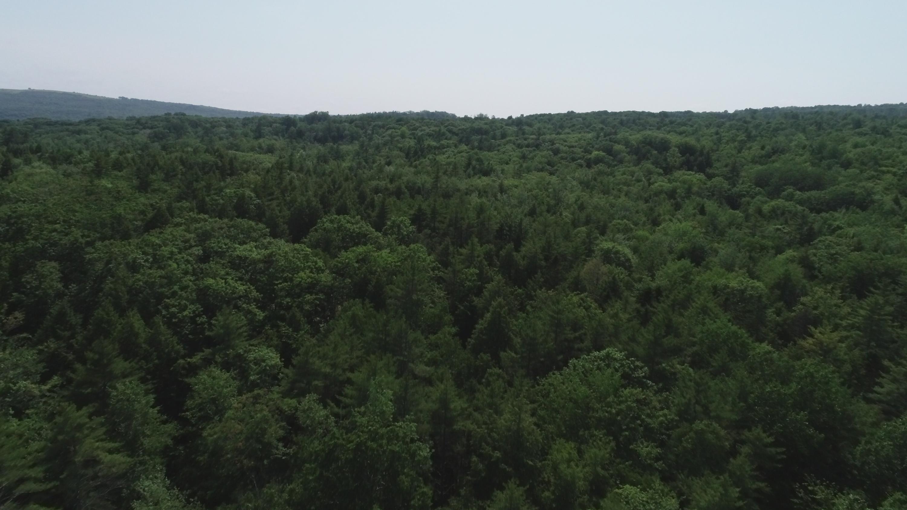 422 Appleton Road Union, ME 04862 - Photo 8 of 17 DJI_0052