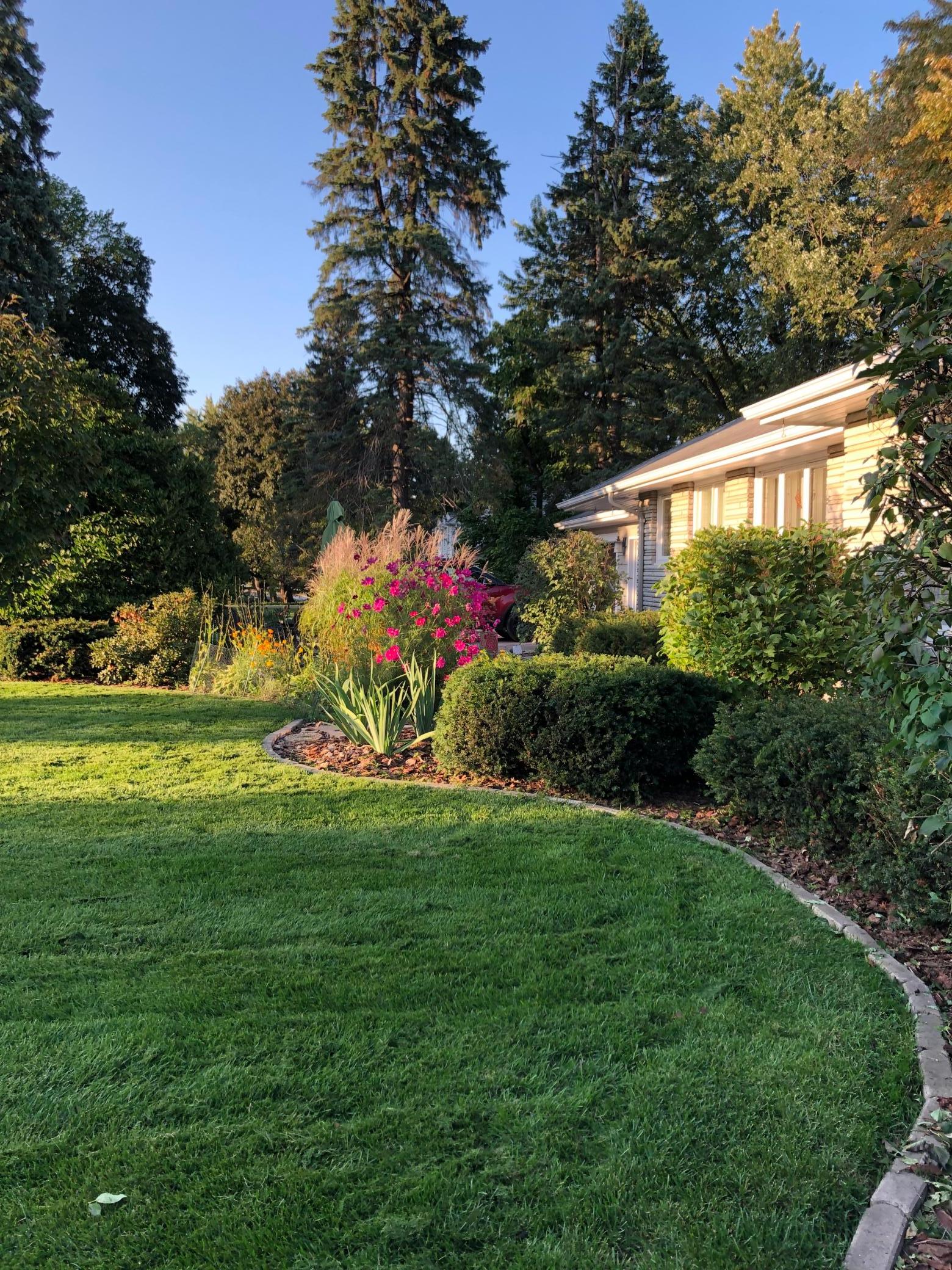 6617 Normandale Road Edina, MN 55435 - Photo 3 of 18