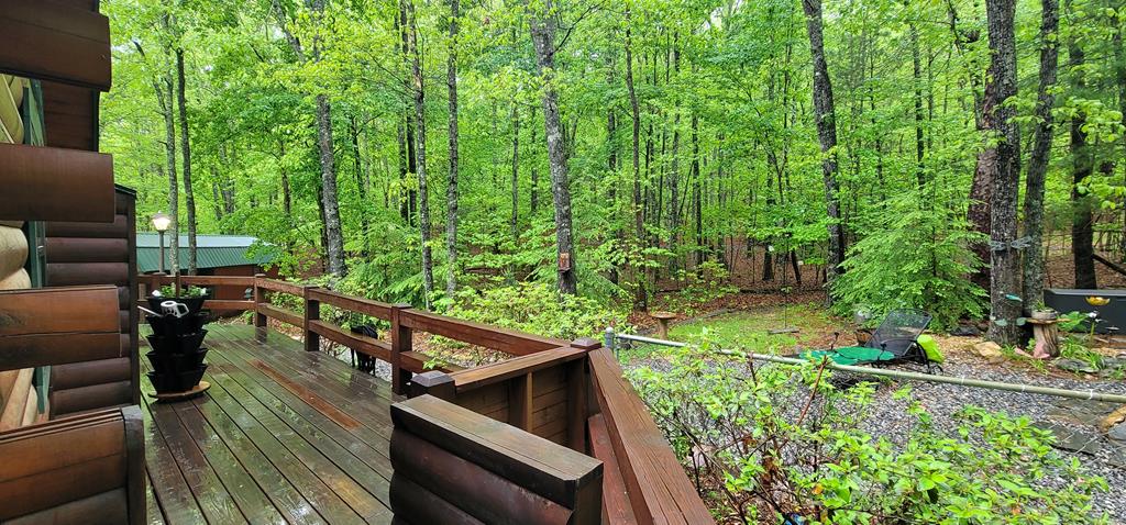 84 Victory Ridge Road Morganton, GA 30560 - Photo 61 of 66