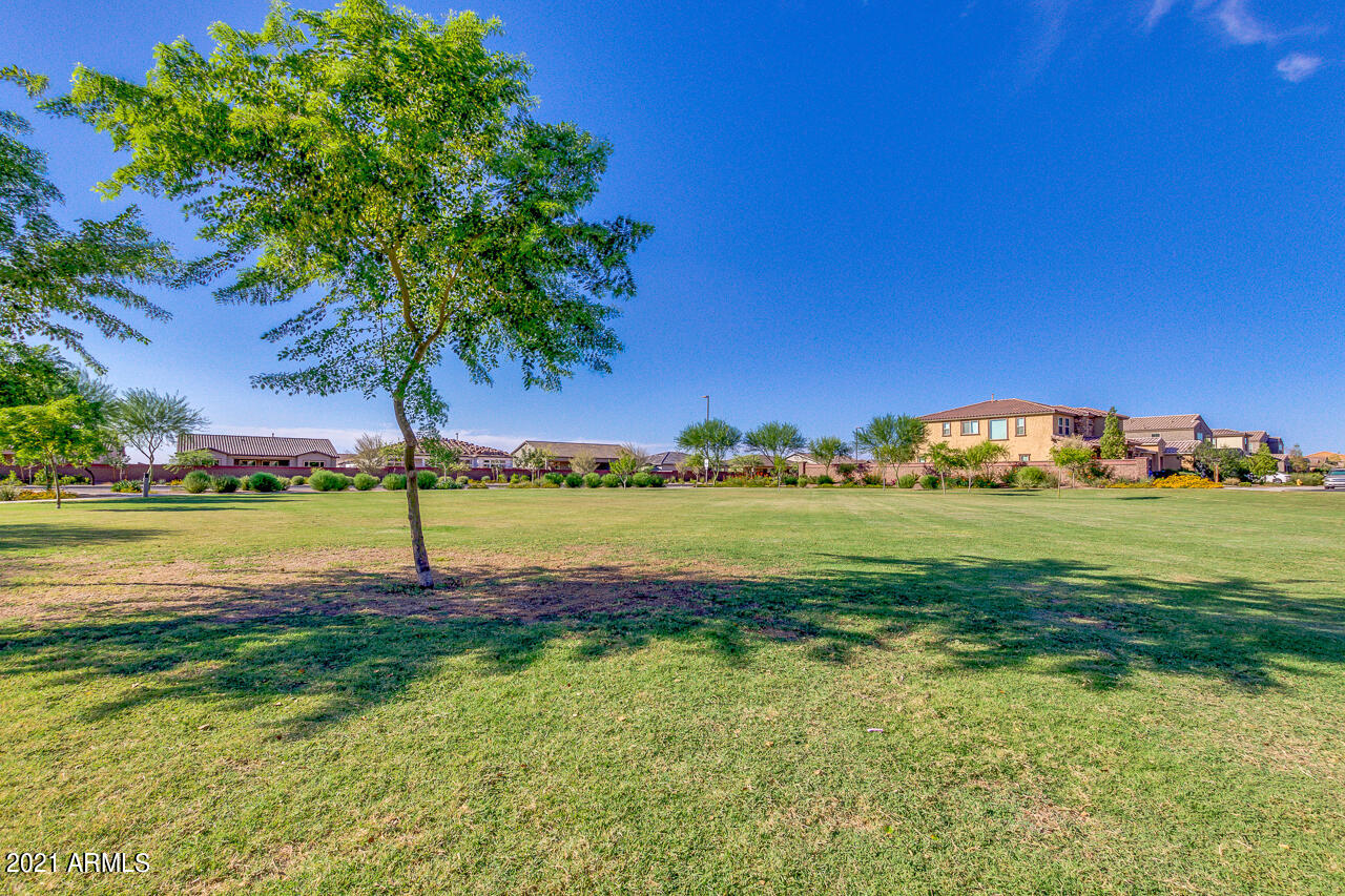 2208 East Stacey Road Gilbert, AZ 85298 - Photo 35 of 50 50-Stacey