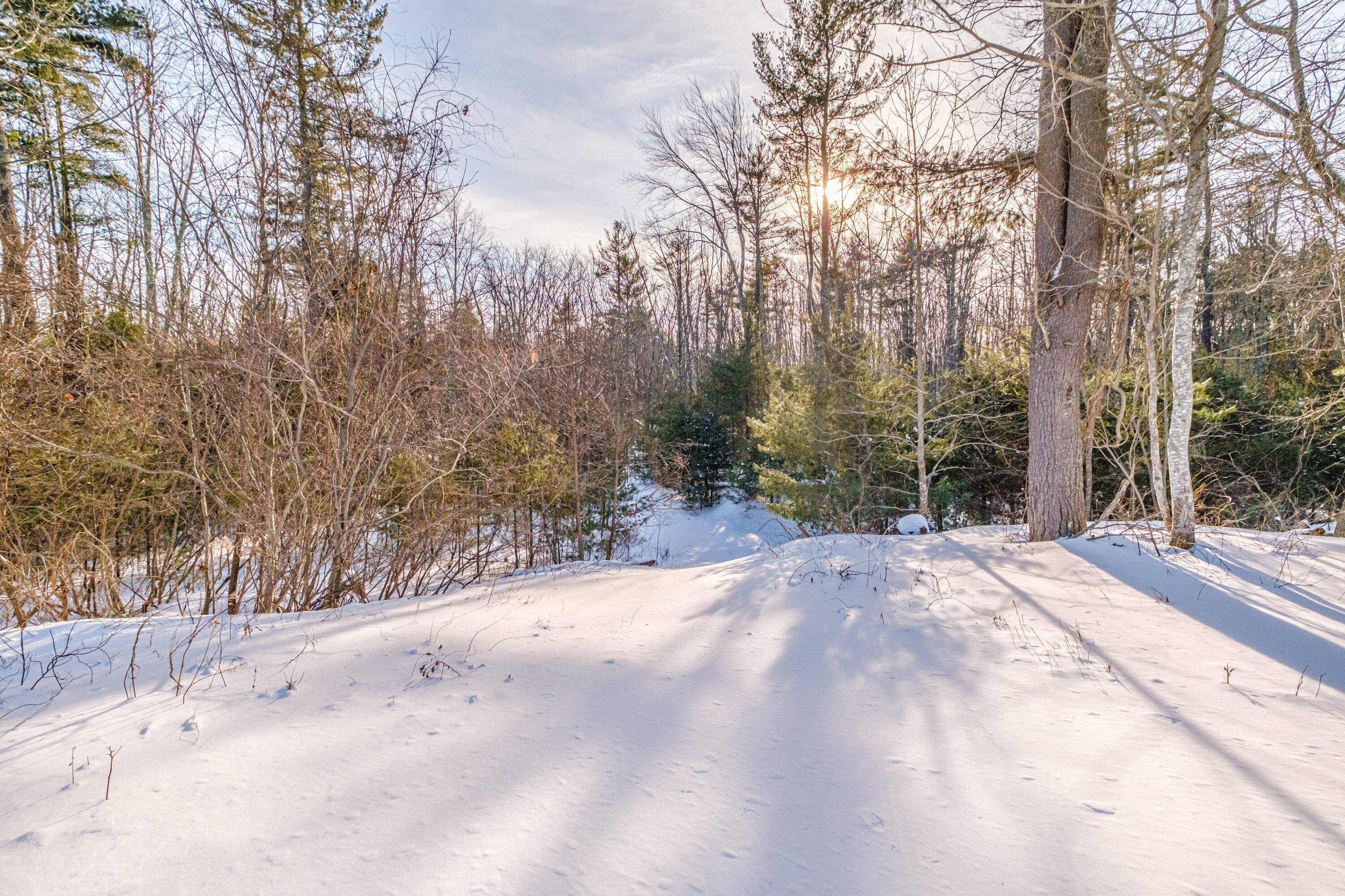 874 Sanford Road Wells, ME 04090 - Photo 40 of 43 20260128gp-61045