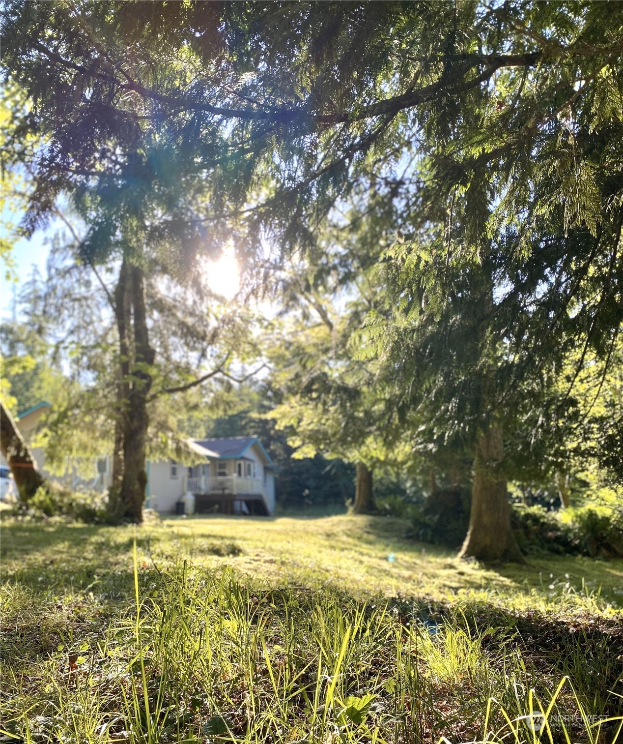 138 Shale Road Port Angeles, WA 98362 - Photo 17 of 39 Gallery Image 17