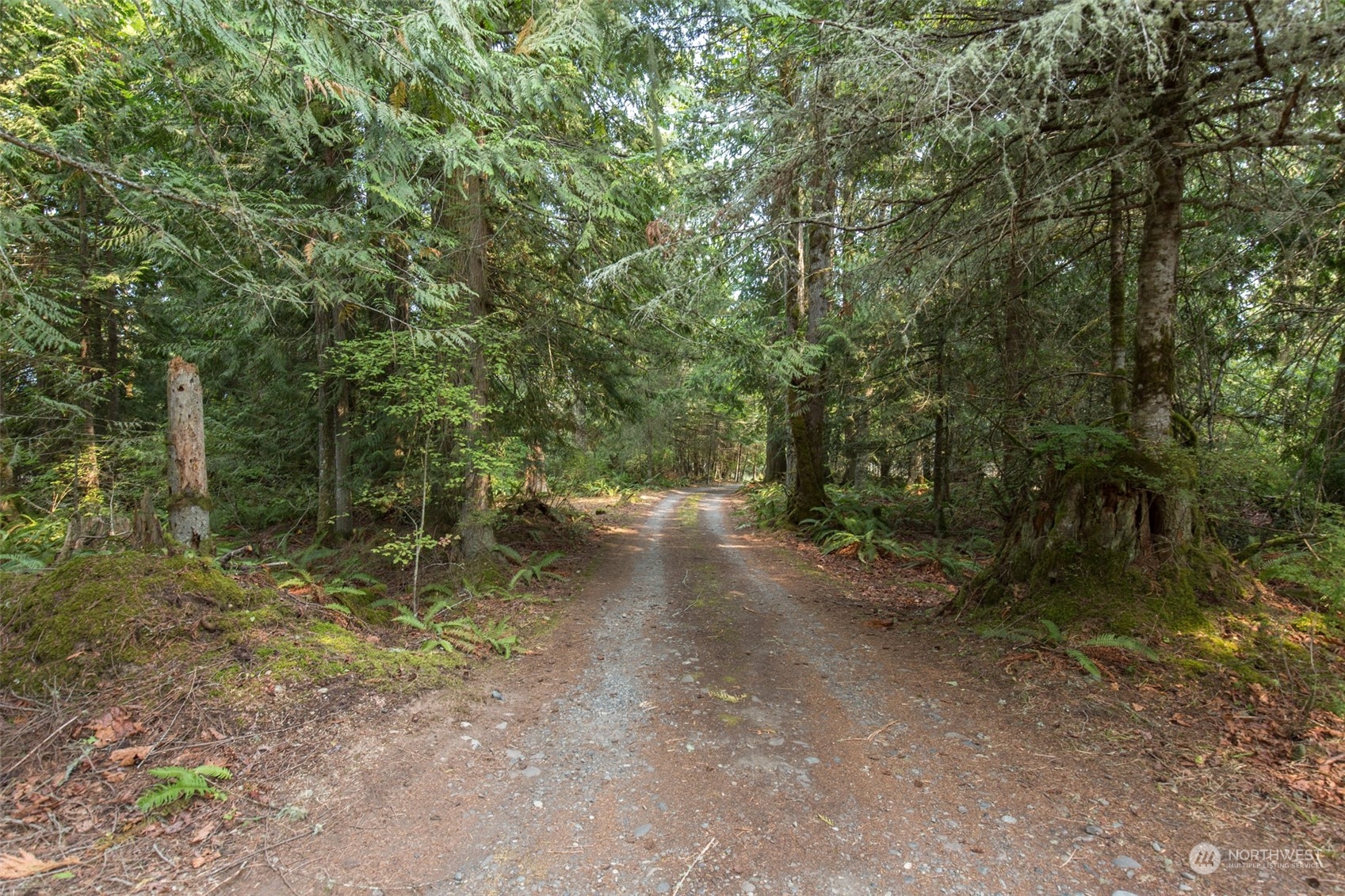 138 Shale Road Port Angeles, WA 98362 - Photo 39 of 39 Gallery Image 39
