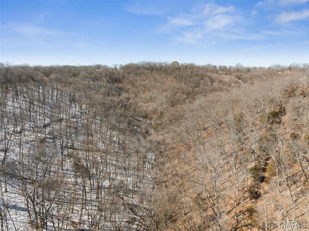 0 Wooded Acres Point Barnhart, MO 63012 - Photo 23 of 30