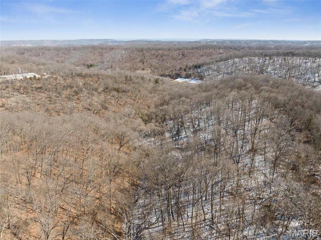 0 Wooded Acres Point Barnhart, MO 63012 - Photo 24 of 30