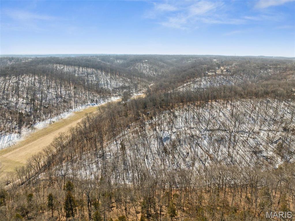 0 Wooded Acres Point Barnhart, MO 63012 - Photo 29 of 30
