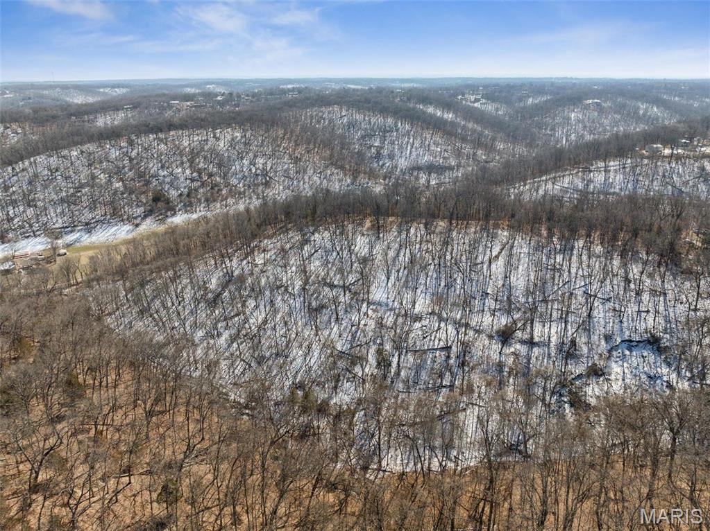 0 Wooded Acres Point Barnhart, MO 63012 - Photo 30 of 30