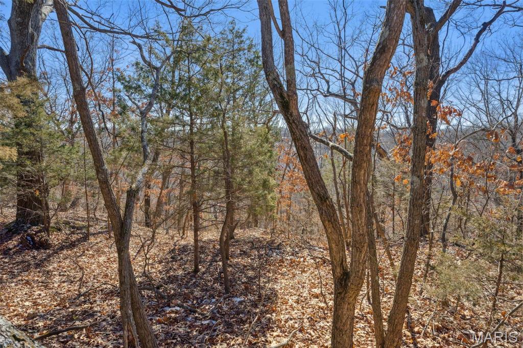 0 Wooded Acres Point Barnhart, MO 63012 - Photo 7 of 30