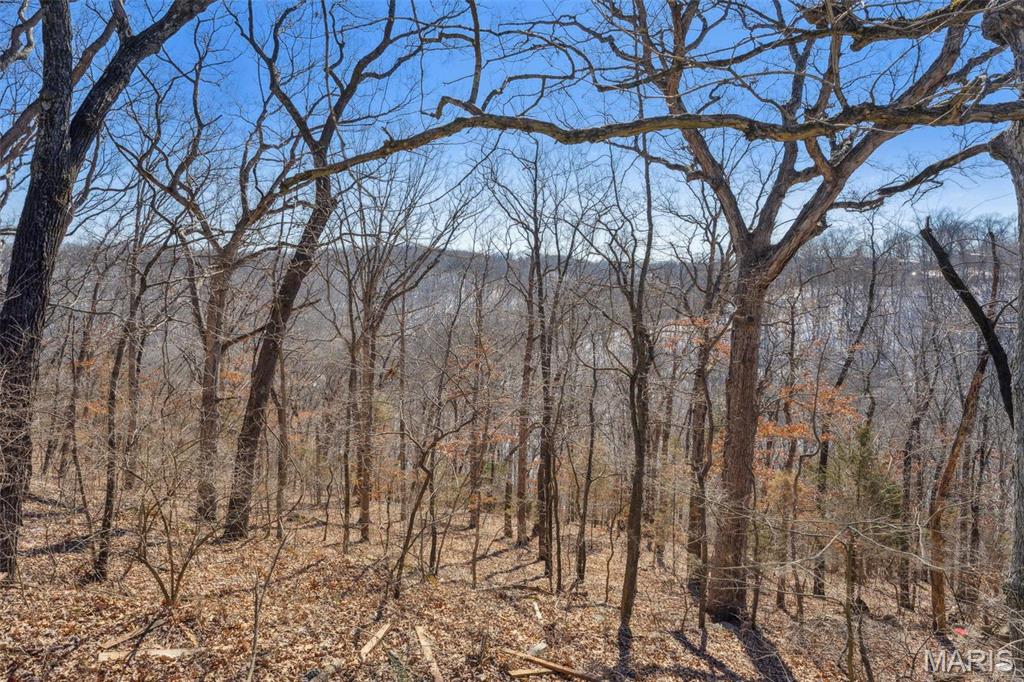 0 Wooded Acres Point Barnhart, MO 63012 - Photo 8 of 30