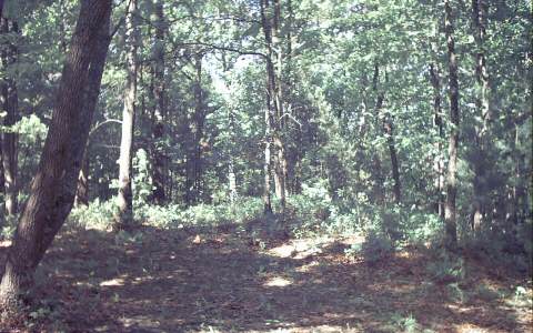 5 Foxfire Estates Blue Ridge, GA 30513 - Photo 1 of 1 Main View