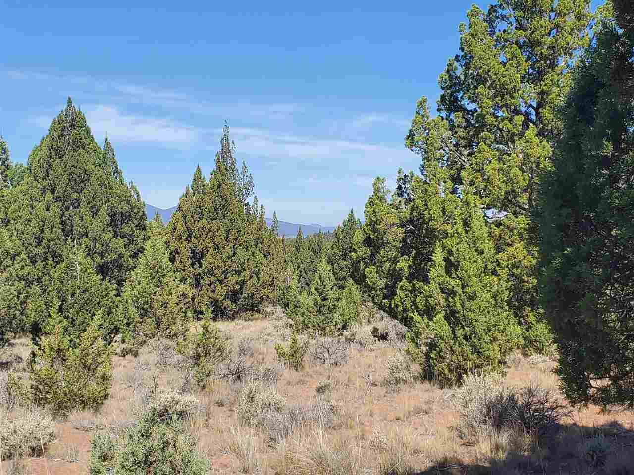 1 Unmarked Road Macdoel, CA 96058 - Photo 19 of 21 Gallery Image 19