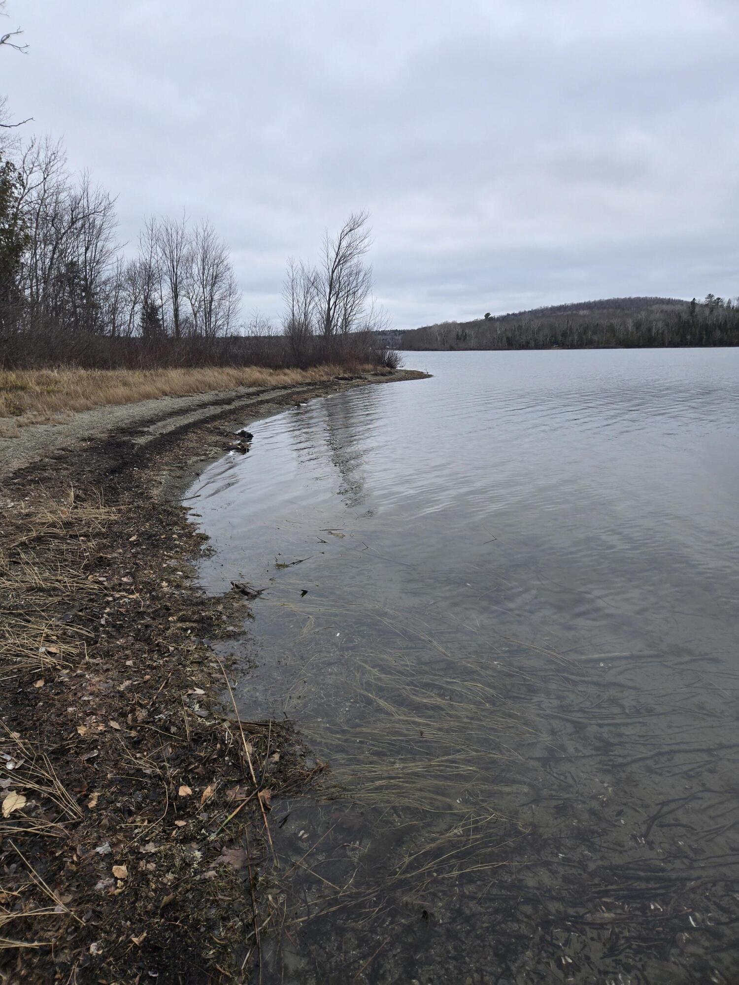 469 East Cottage Road Portage, ME 04768 - Photo 16 of 63 20241120_100532