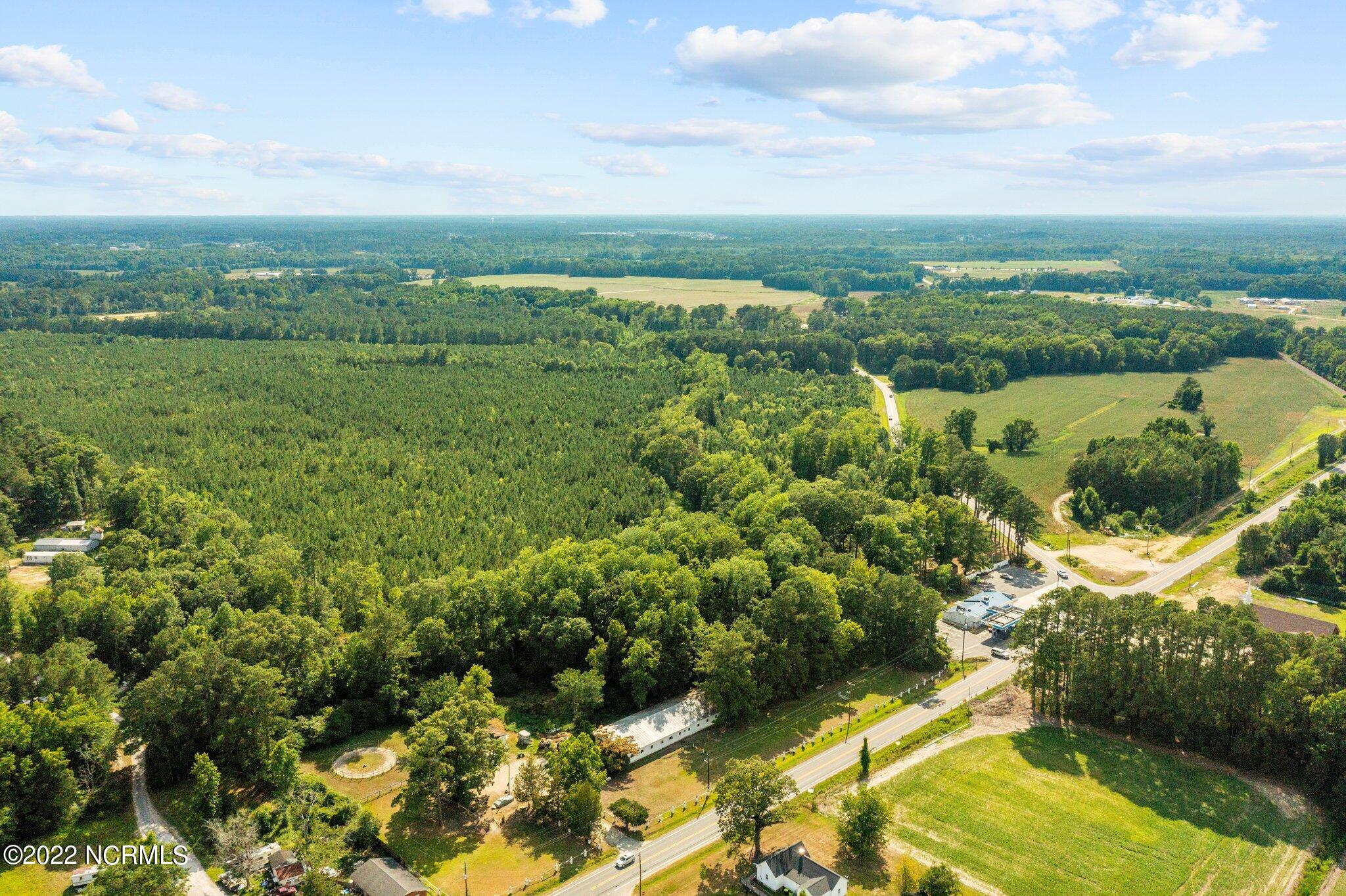 4812 Mobleys Bridge Road Grimesland, NC 27837 - Photo 11 of 12 web_DJI_0999