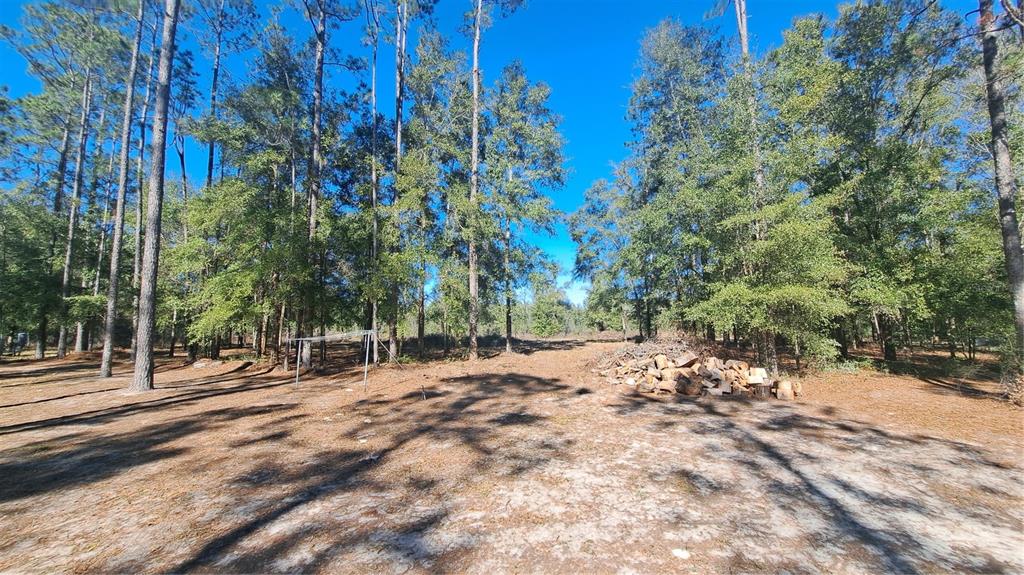 669 Southwest Shiloh Street Fort White, FL 32038 - Photo 15 of 16