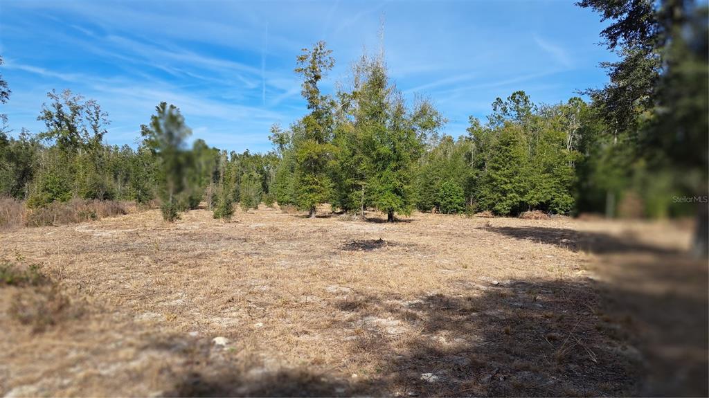 669 Southwest Shiloh Street Fort White, FL 32038 - Photo 2 of 16