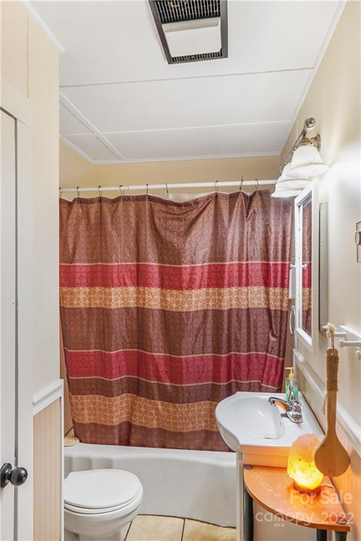 53 Saunook Road Waynesville, NC 28786 - Photo 9 of 10 a bathroom with a sink a toilet a shower curtain and a mirror