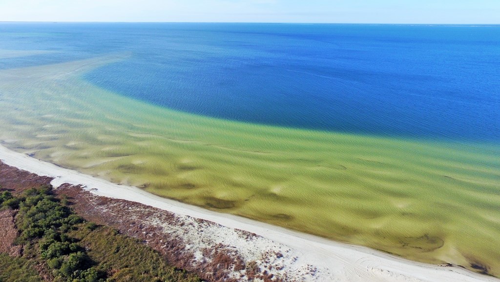 Tbd Victoria Avenue Port St. Joe, FL 32456 - Photo 4 of 7