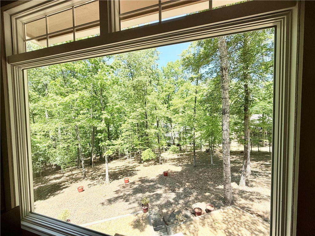 10 Captain Lane Salem, SC 29676 - Photo 8 of 28 A window frames the verdant expanse of a private backyard, offering serene views.